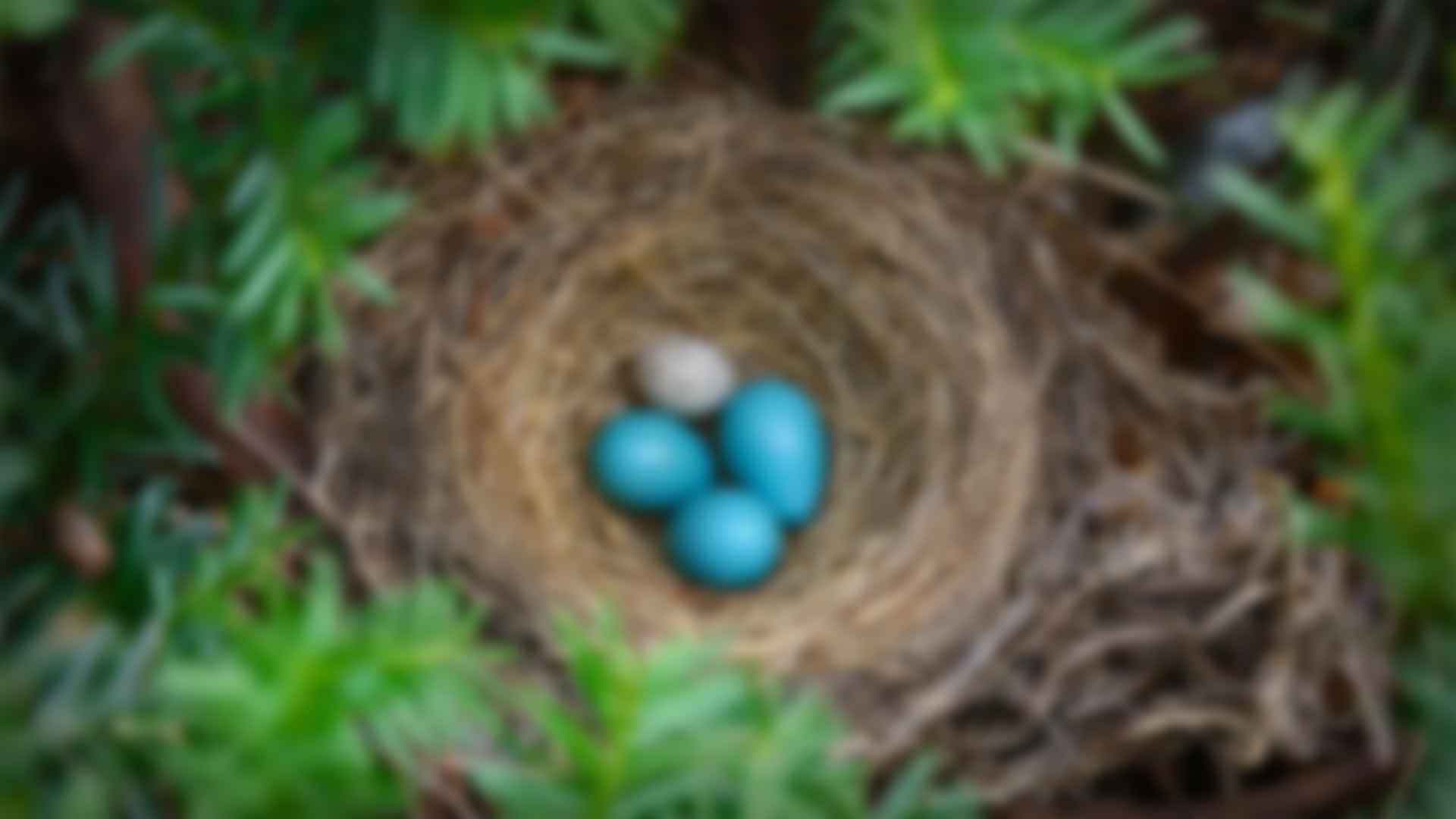健身：拥抱最新91视频观看与活力的生活方式
